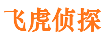 都安市婚外情调查